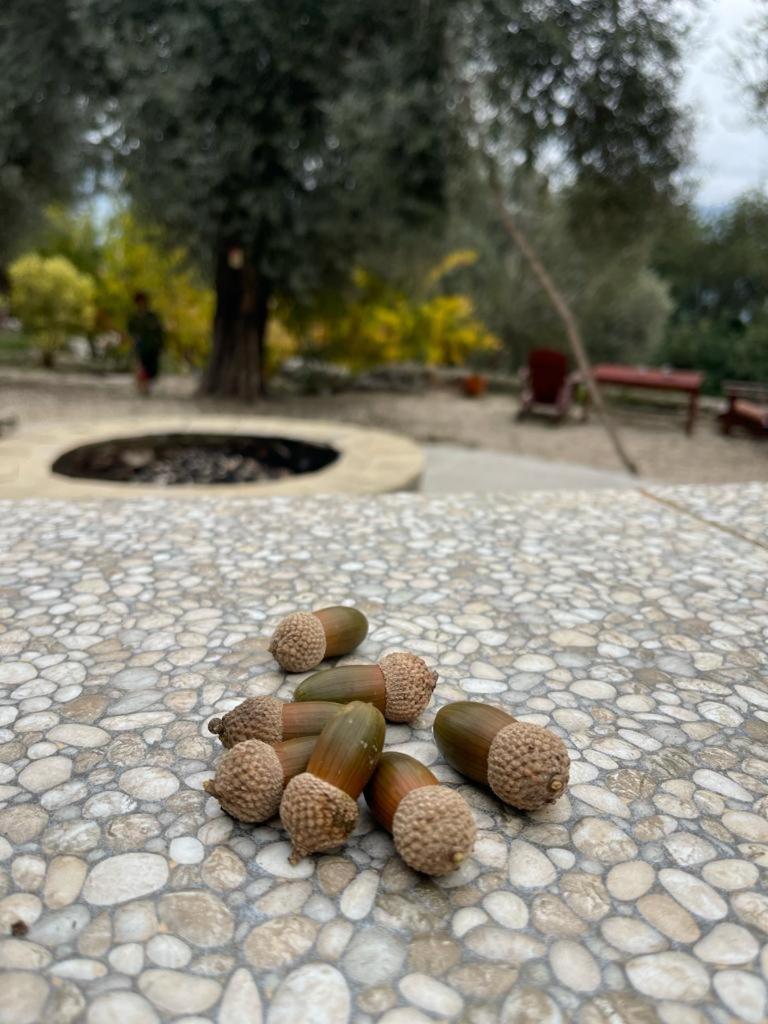 Antalya Bodrum Kayasi Dag Oteli Hasdumen Εξωτερικό φωτογραφία