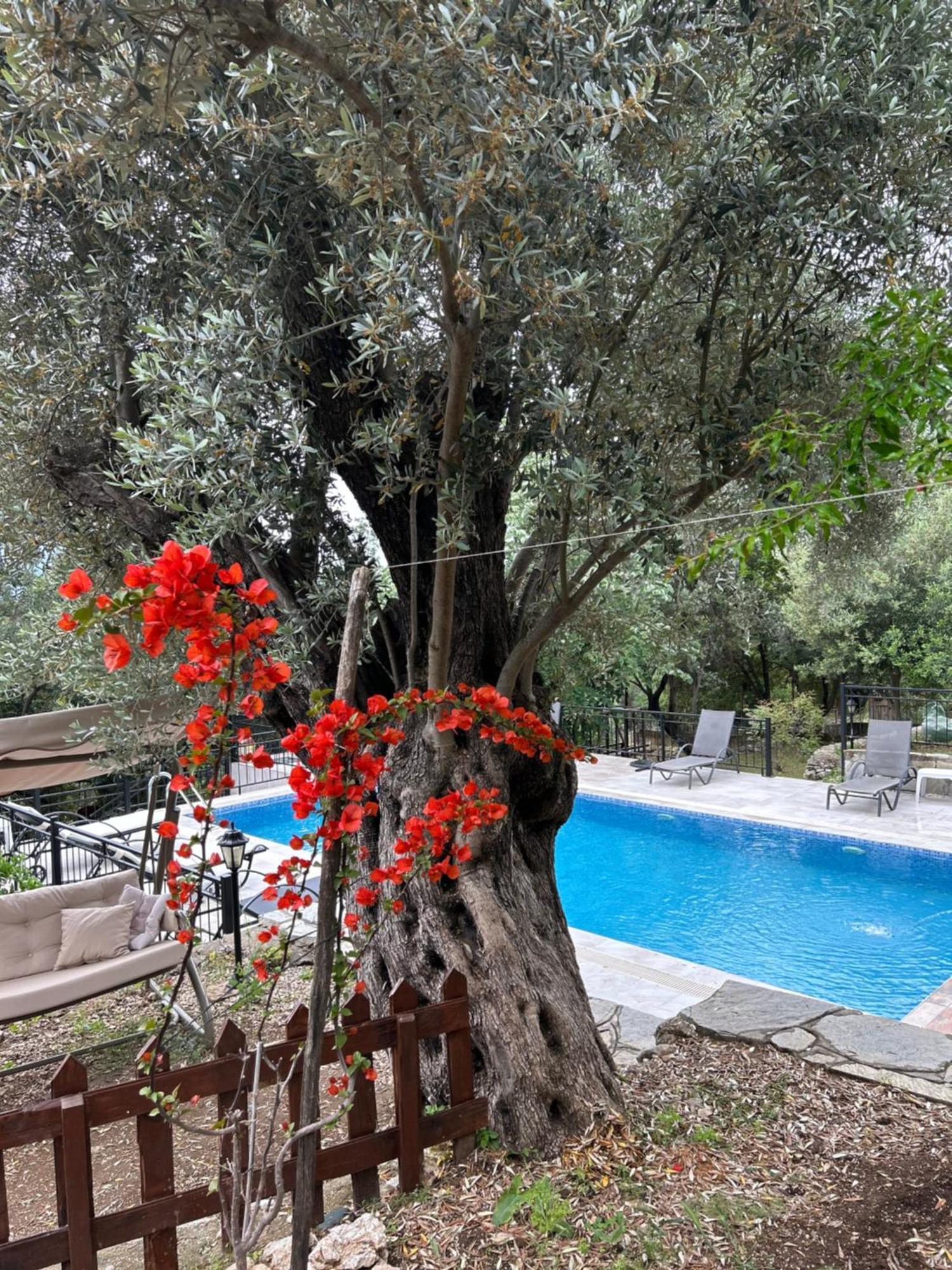Antalya Bodrum Kayasi Dag Oteli Hasdumen Εξωτερικό φωτογραφία